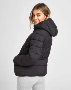 Champion Script Logo Padded Jacket -Nike || The North Face || Adidas Originals Shop jd 374892 d