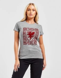 Official Team Wales 1876 T-Shirt -Nike || The North Face || Adidas Originals Shop jd 624228 c