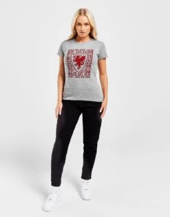 Official Team Wales 1876 T-Shirt -Nike || The North Face || Adidas Originals Shop jd 624228 d