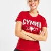Official Team Wales Cymru Short Sleeve T-Shirt -Nike || The North Face || Adidas Originals Shop jd 624229 a
