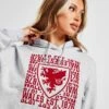 Official Team Wales 1876 Hoodie -Nike || The North Face || Adidas Originals Shop jd 624234 a
