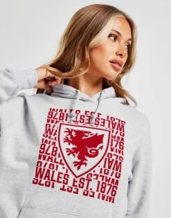 Official Team Wales 1876 Hoodie