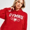 Official Team Wales Cymru Hoodie 1 Official Team Wales Cymru Hoodie -Nike || The North Face || Adidas Originals Shop jd 624241 a