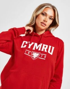 Nike || The North Face || Adidas Originals Shop 30 Official Team Wales Cymru Hoodie