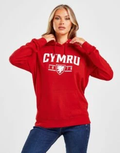 Official Team Wales Cymru Hoodie -Nike || The North Face || Adidas Originals Shop jd 624241 c