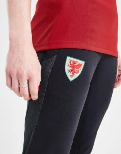 Adidas Wales Women Tiro 23 Track Pants -Nike || The North Face || Adidas Originals Shop jd 641738 d