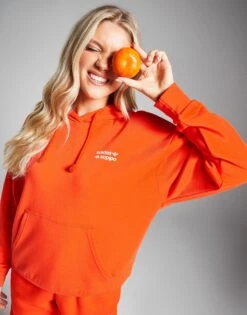 Adidas Originals Linear Logo Hoodie